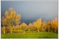 juste avant la pluie...